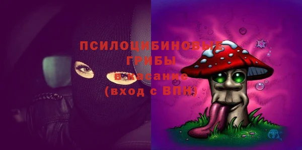 твердый Нефтегорск