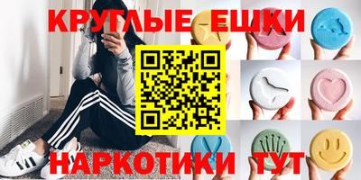 дмт Бийск