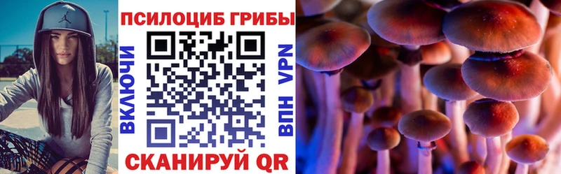Галлюциногенные грибы Magic Shrooms  Владивосток 