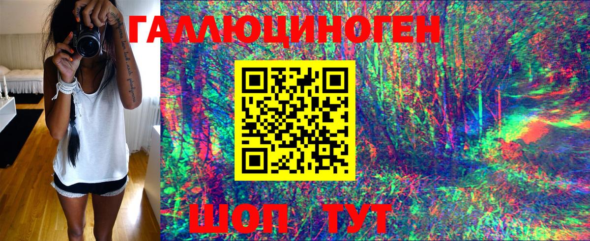 закладки  Владивосток  Псилоцибиновые грибы мухоморы  Галлюциногенные грибы мухоморы 