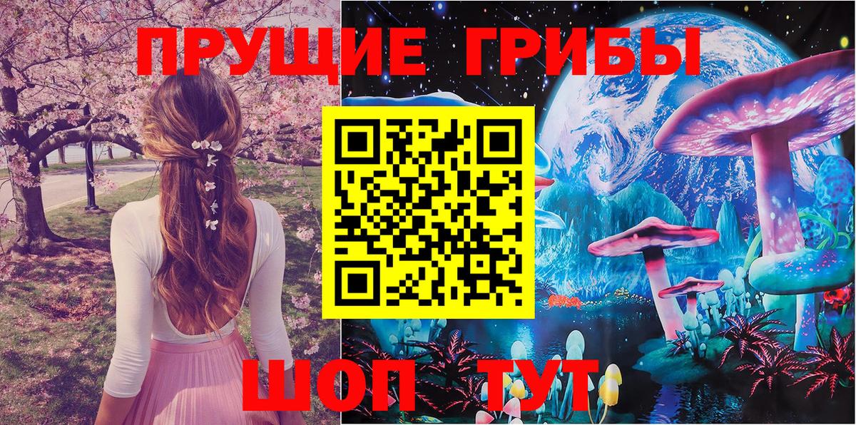Галлюциногенные грибы Psilocybine cubensis Владивосток